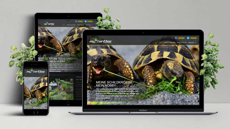 Responsive Ansicht my Turtles